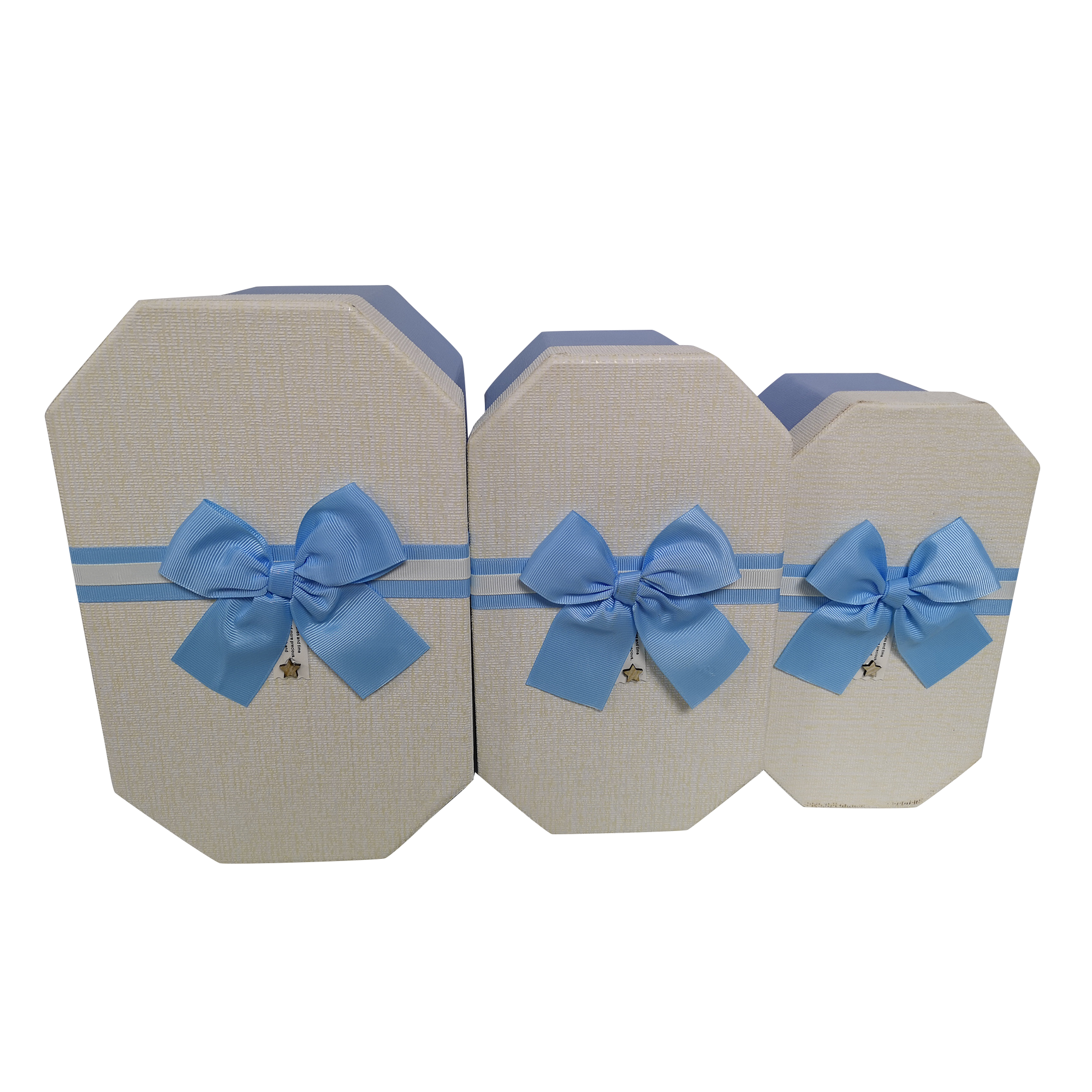 Octagonal Rigid  Gift Box With Ribbon & Bow